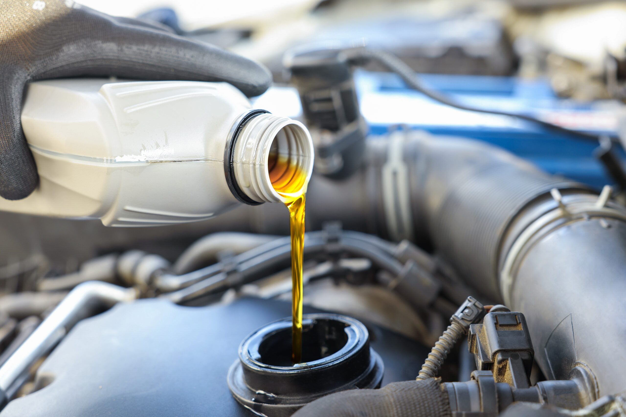 ASE-certified technician performing an oil change at Euro Car Clinic in Signal Hill, CA